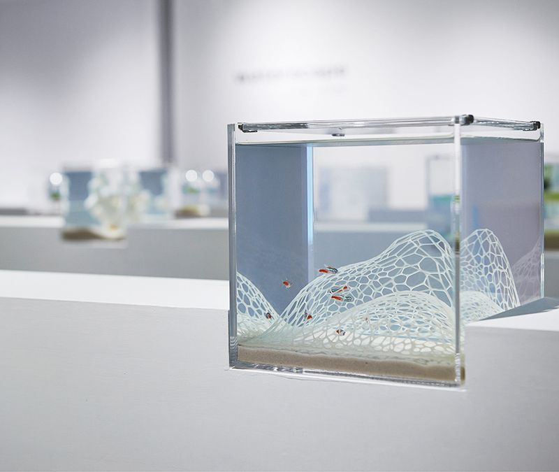 Les charmants aquariums aquatiques imprimés en 3D de Haruka Misawa