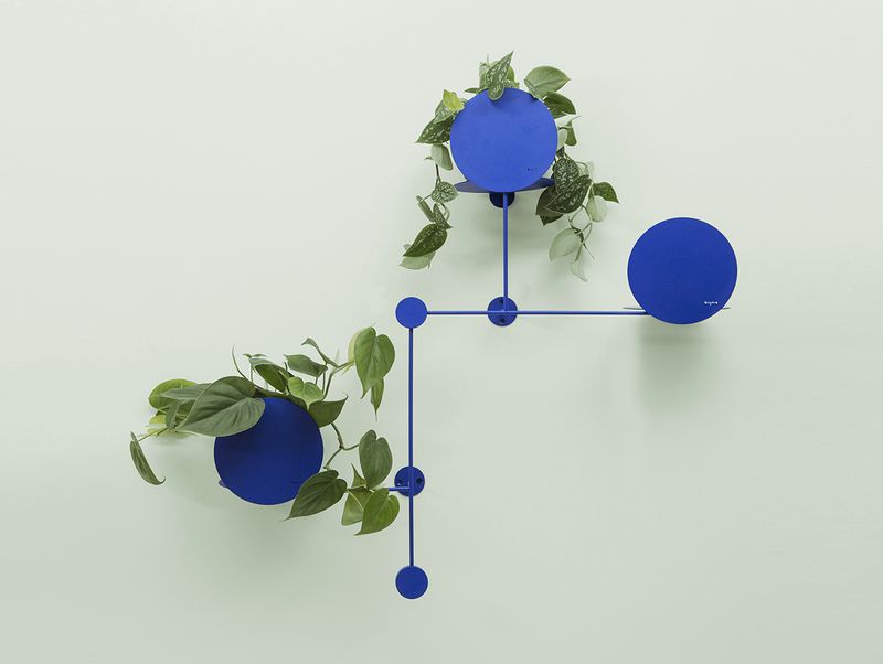 Les plantes ne peuvent pas vous dépasser avec le support mural modulaire pour plantes Floos
