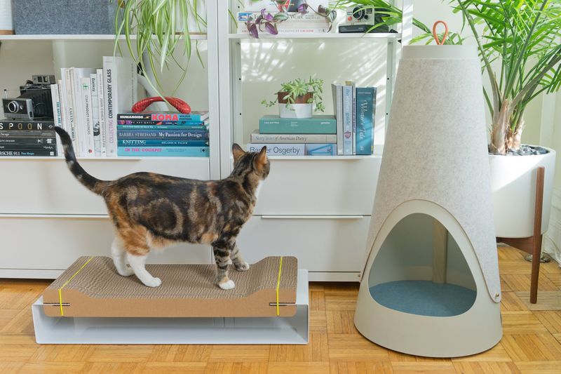 WISKI lance deux griffoirs modernes pour chats