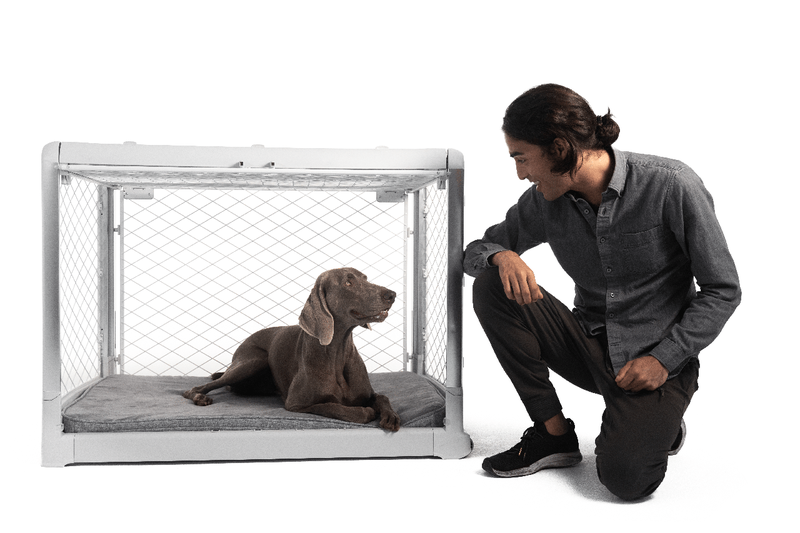 Découvrez Revol: la cage pour chien qui combine forme et fonction