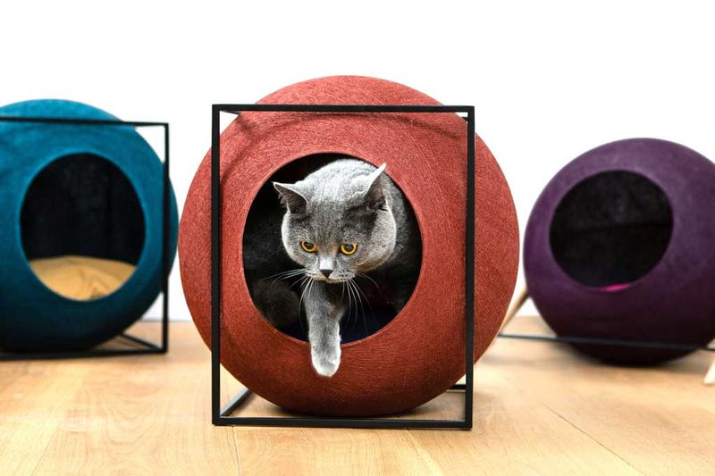 Meyou Paris conçoit des meubles douillets pour chats