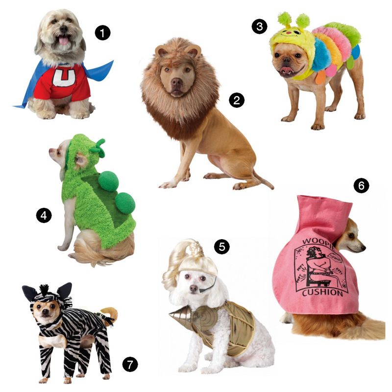 Chiens d'Halloween: 22 costumes de chiens adorables pour 2014