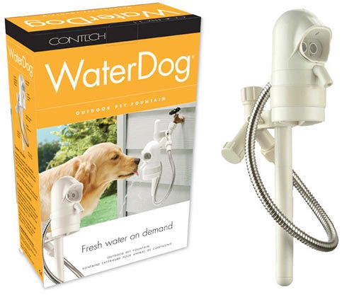 Fontaine d'eau extérieure pour animaux de compagnie WaterDog