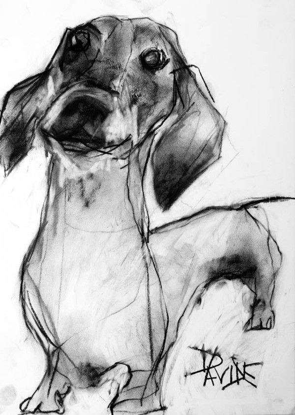 Portraits de chiens au fusain par Valérie Davide